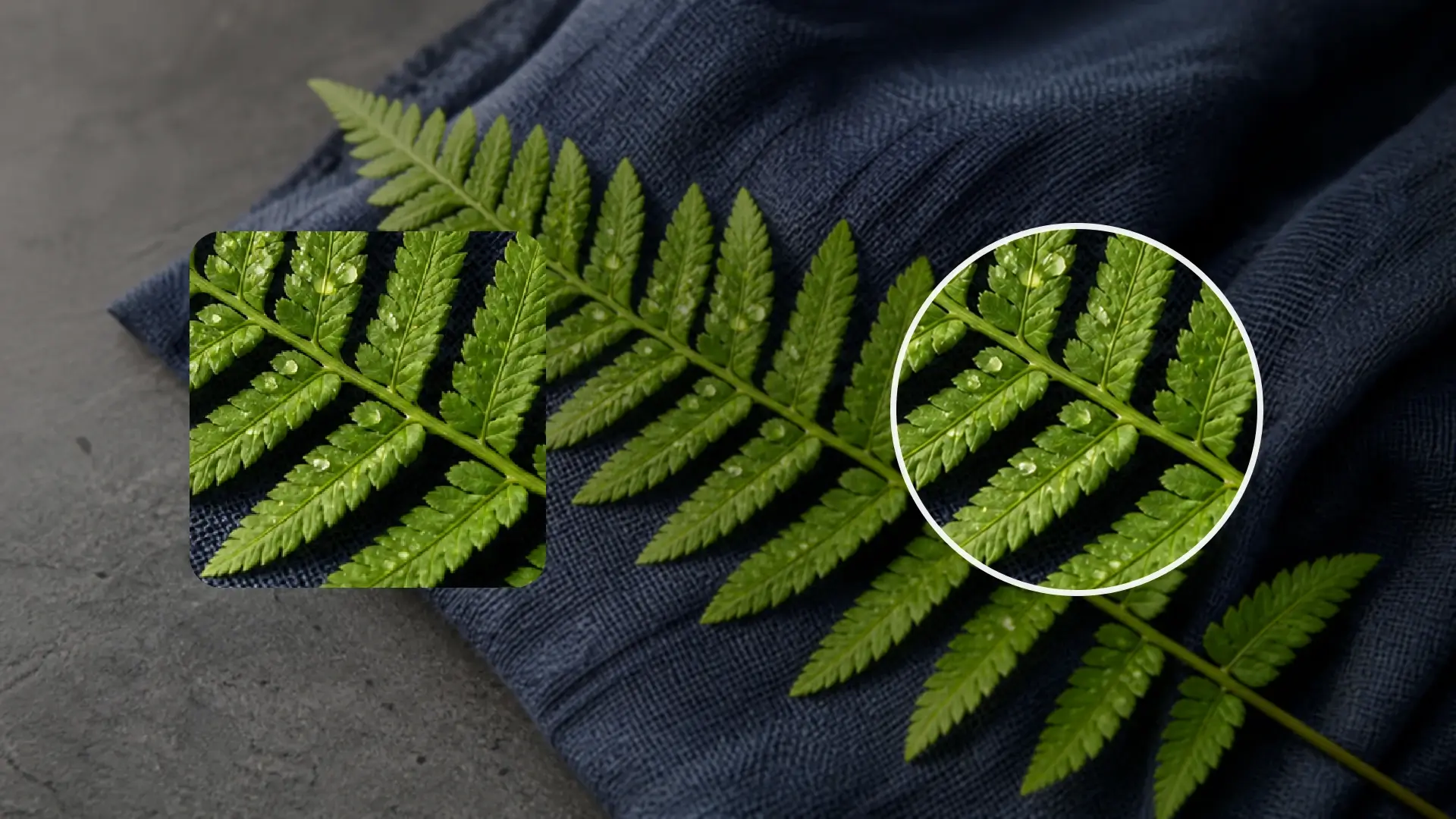 AI image upscaling compared with basic image resizing