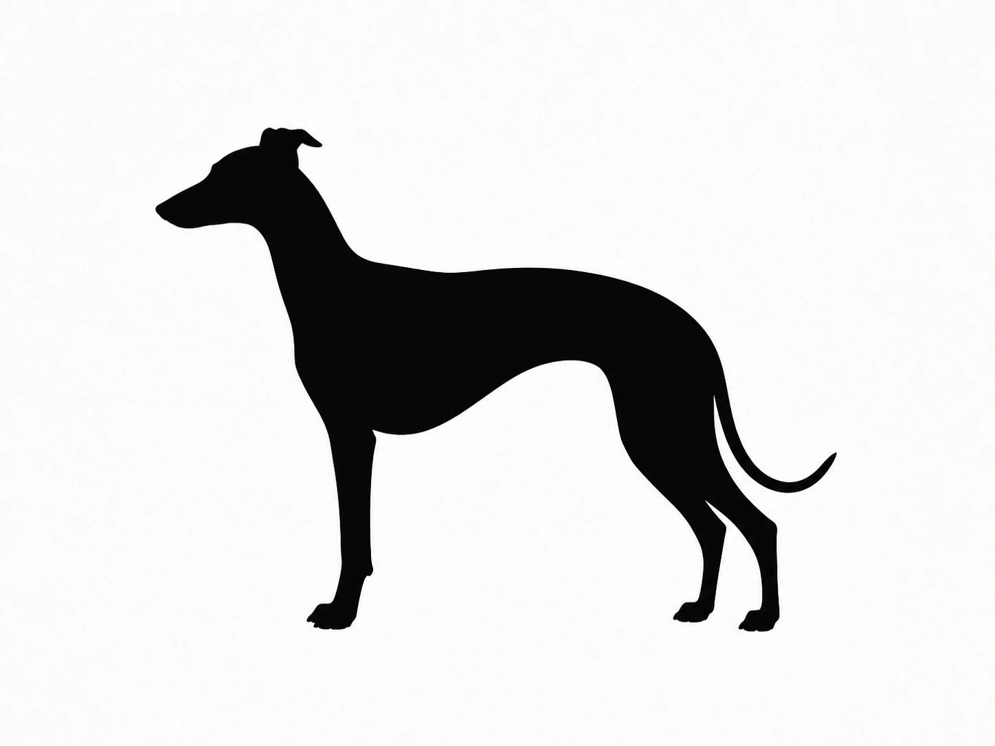 Black silhouette on a clean white background